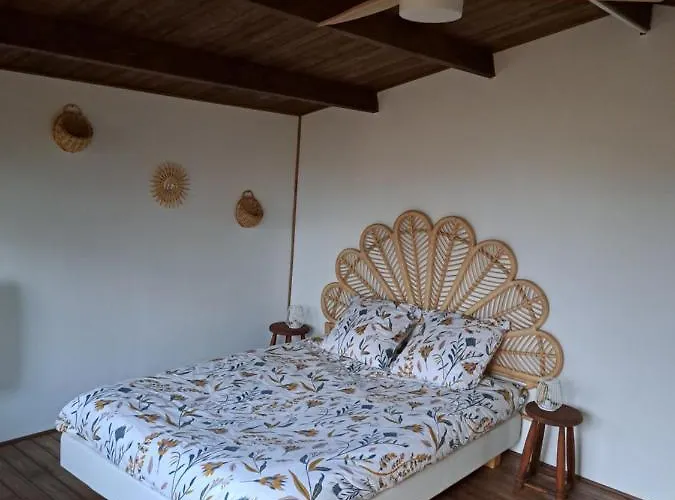 Nord'gouis * Cournon-d'Auvergne